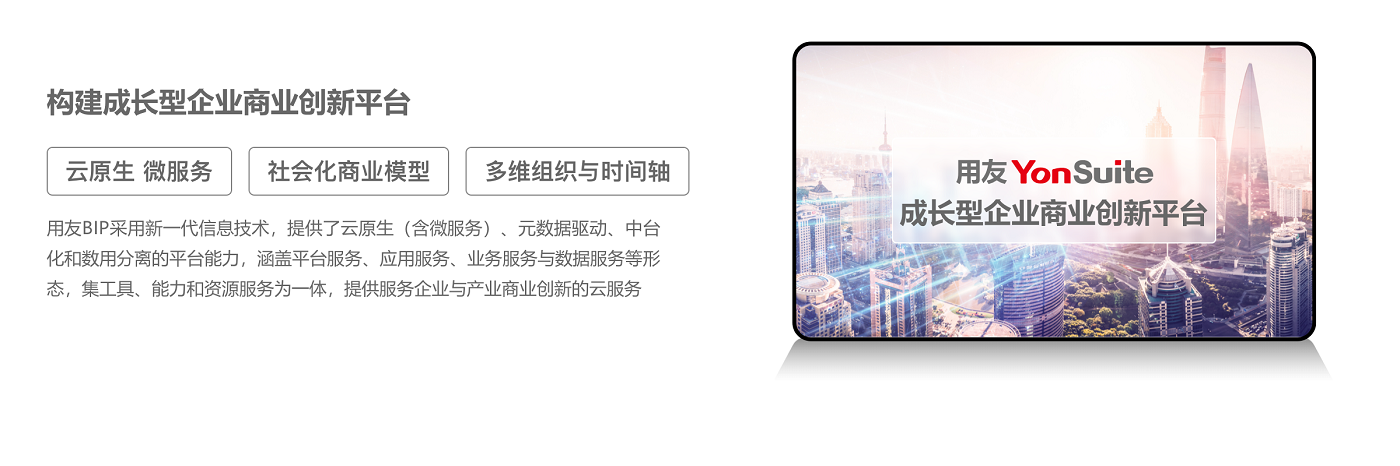 Yonsuite費控系統(tǒng)02